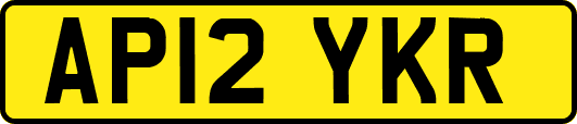 AP12YKR