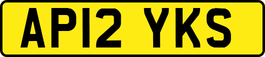 AP12YKS