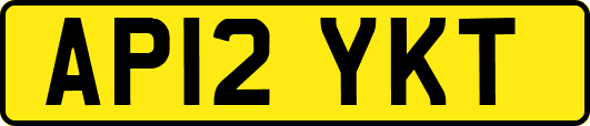 AP12YKT