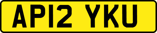 AP12YKU