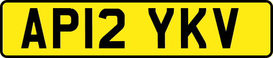 AP12YKV