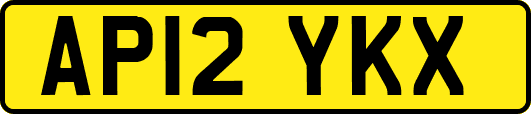 AP12YKX