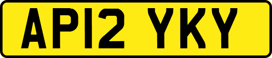 AP12YKY