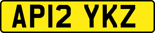 AP12YKZ