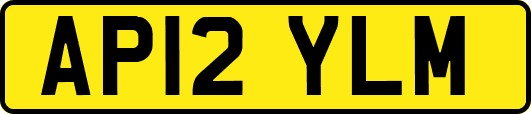AP12YLM