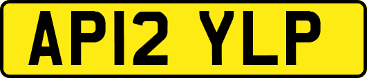 AP12YLP