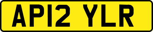 AP12YLR