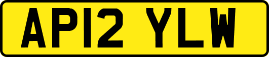AP12YLW