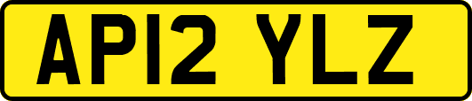 AP12YLZ