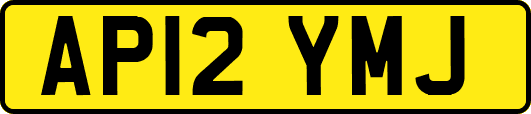 AP12YMJ