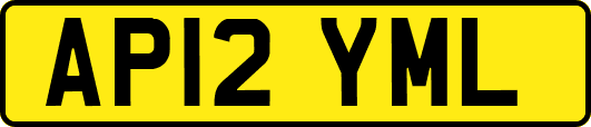 AP12YML