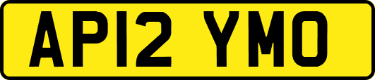 AP12YMO