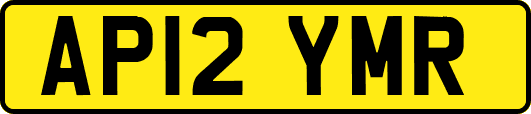 AP12YMR