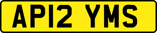 AP12YMS