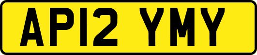 AP12YMY