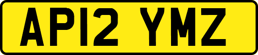 AP12YMZ