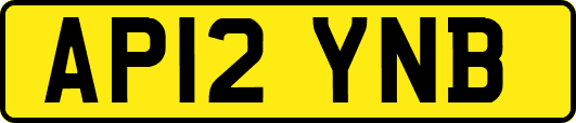 AP12YNB