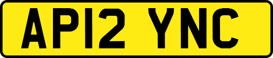 AP12YNC
