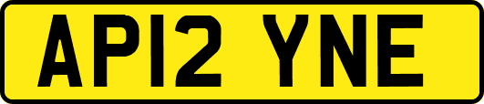 AP12YNE