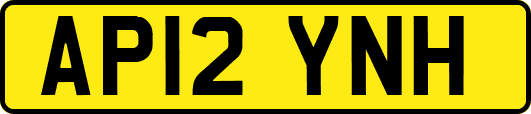 AP12YNH