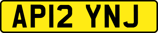 AP12YNJ