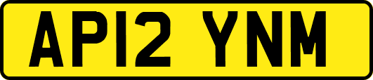 AP12YNM
