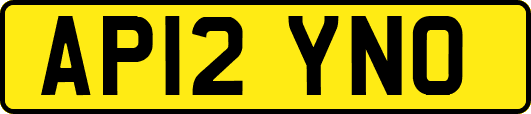 AP12YNO