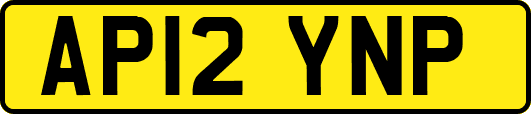 AP12YNP