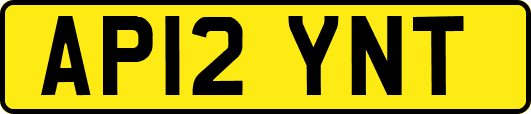 AP12YNT