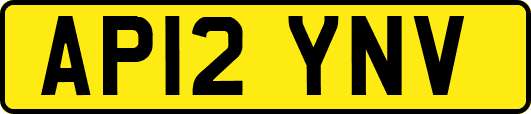 AP12YNV