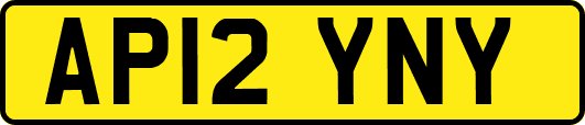 AP12YNY