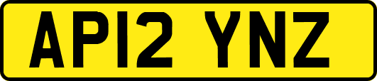 AP12YNZ