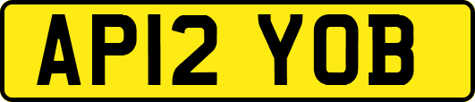 AP12YOB