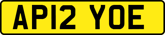 AP12YOE