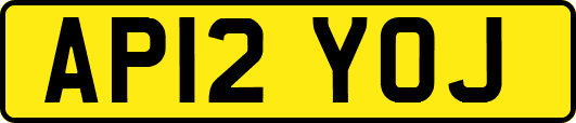 AP12YOJ