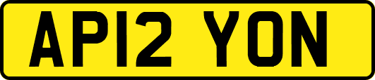 AP12YON
