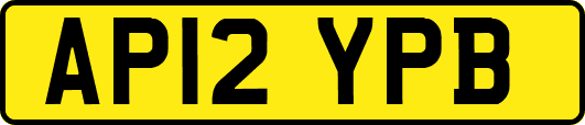AP12YPB