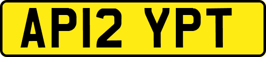 AP12YPT