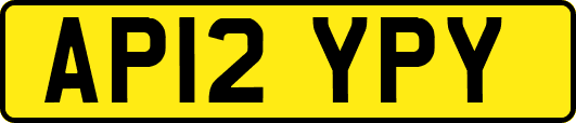 AP12YPY