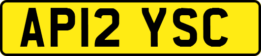 AP12YSC