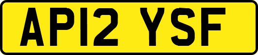 AP12YSF