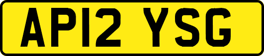 AP12YSG