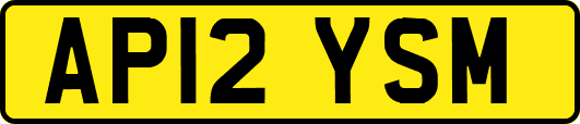 AP12YSM