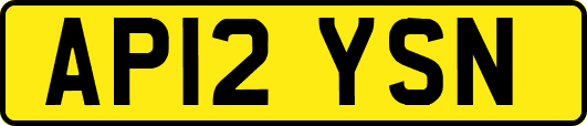 AP12YSN