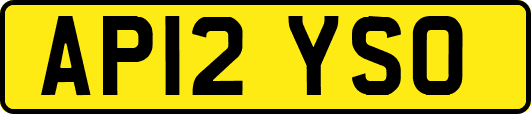 AP12YSO