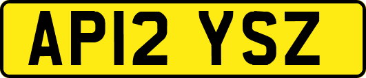 AP12YSZ