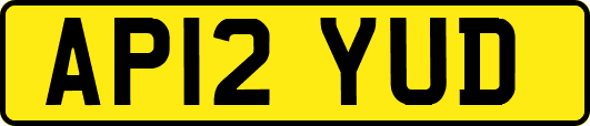 AP12YUD