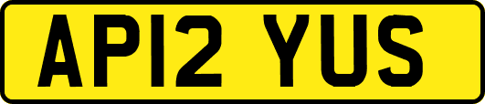 AP12YUS