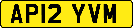 AP12YVM