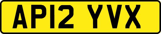 AP12YVX